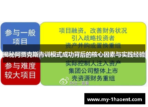 揭秘阿贾克斯青训模式成功背后的核心因素与实践经验
