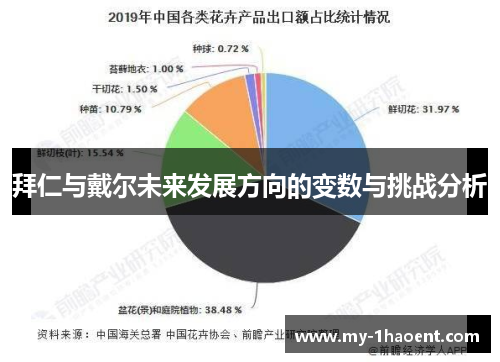 拜仁与戴尔未来发展方向的变数与挑战分析 拜仁与戴尔未来发展方向的变数与挑战分析